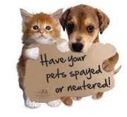 Spay Neuter