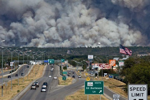 wall of smoke in pine forest