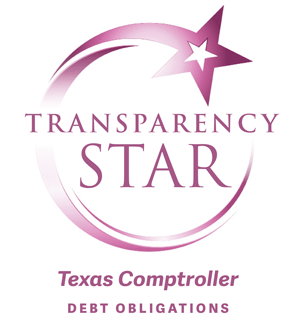 Transparency Star Award Symbol